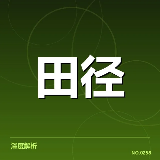 已确认的阵容组成与赛事安排